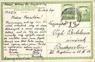 1917 Seeflugzeug beim Aufstieg. Rotes Kreuz, Kriegsfürsorgeamt Kriegshilfsbüro Nr. 557. / WWI K.u.k....