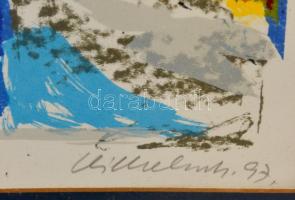 Vilhelm (Wilhelm) Károly (1943-2011): Tél táj. Színes litográfia , papír, jelzett, üvegezett keretbe...