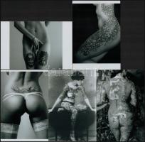 Szolidan erotikus fényképek, 13 db mai nagyítás, 10x15 cm