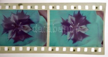 cca 1944 Privát felvételek negatív gyűjteménye, 2 db negatívtartó albumba rendezve, sok helyszínen, ...