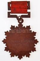 Kína DN "Kínai Köztársaság Vietnámi emlékmedálja" hamisítvány zománcozott kitüntetés, mell...