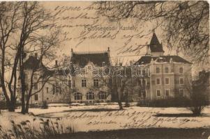 1912 Felsősegesd (Segesd), Széchenyi kastély télen. Weller Samu kiadása (megerősített sarok / restored corner)