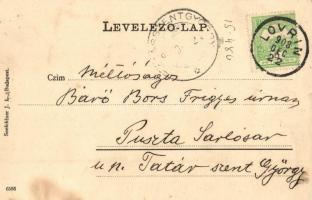 1903 Lovrin, Báró Lipthay kastély, kiadja Seefehlner J.L. / castle (kis felszíni sérülés / small sur...