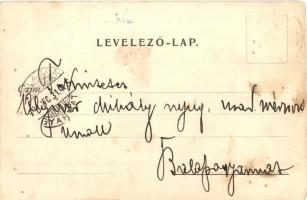 1901 Divény, Diwein, Divín; Balassa Imre várkastélya a Várhegy tövében / castles (apró lyukak / smal...