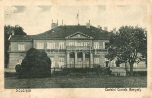 Soborsin, Savarsin; Hunyadi gróf kastély / Castelul Contele Hunyady / castle (fl)