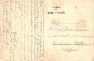 Soborsin, Savarsin; Hunyadi gróf kastély / Castelul Contele Hunyady / castle  (fl)