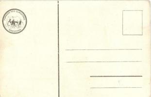 Fiume, Rijeka; Bruchsteiner és fia / Litho art postcard.  (EK)