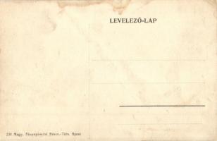 Pitvaros, kúria (EK)