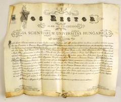 1917 Győr, jogi diploma, pergamen, függőpecsétje hiányzik, okmánybélyeggel, Mihályfi Ákos szerzetes, egyházi író és Szászy-Schwarz Gusztáv jogász aláírásaival