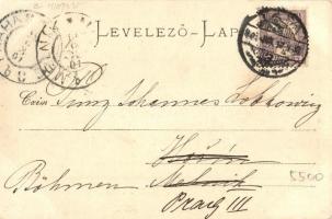 1901 Tatatóváros, Angolkerti vasútállomás. Üdvözlet a Vöröskereszt-Egyleti Választmány Sétahangverse...