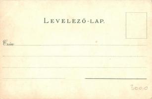 Brassó, Kronstadt, Brasov; Noa. Wilh. Hiemisch