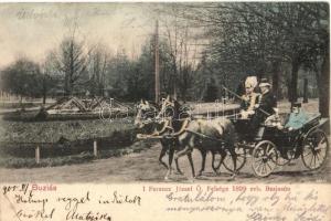1905 Buziás, I. Ferenc József Őfelsége 1899-ben a hintójában. montázslap / Franz Joseph in chariot. montage (kis szakadás / small tear)