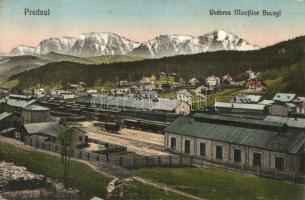 Predeál, Predeal; Vederea Muntilor Bucegi / Vasútállomás, vagonok, háttérben a Bucsecs-hegység és nyaralók. Kiadja D. Anghelescu / railway station, wagons, mountain, villas (EK)