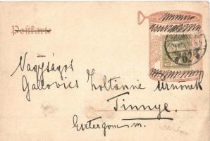 1904 Art Nouveau ladies. Pfunds-Milchseife Milde Toilette und Kinder Bade-Seite. Pfunds Betriebs-Dru...