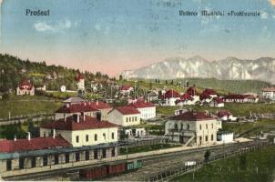 Predeál, Predeal; Vederea Muntelui Postavarul / Vasútállomás, vagonok, nyaralók, Keresztényhavas a háttérben. Kiadja D. Anghelescu / railway station, wagons, villas, mountain (EK)