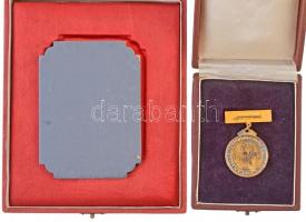 1969. "Magyar Népköztársasági Kupa I." fém díjplaket tokban (70x94mm) + "Magyar Népkö...
