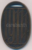 Zutt Richard (1887-1938) 1914. "Hadsegélyező" ovális Br medál, részben zománcozott, fehér ...