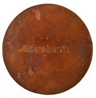 ~1979. "Thököly Imre" egyoldalas Br plakett. Szign.: SZ79 (102mm) T:2