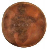 1979. Szamuely Tibort ábrázoló egyoldalas Br plakett (95mm) T:2