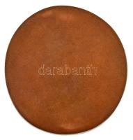 R. Kiss Lenke (1926-2000) DN Egyoldalas, feltehetően a művész tenyérlenyomatát ábrázoló Br plakett (...