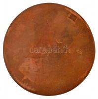 Nagy István János (1938-) DN "Bartók Béla" egyoldalas Br plakett (106mm) T:2