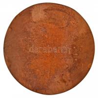 1979. Egyoldalas Br plakett a Tanácsköztársaság 60. évfordulója alkalmából (118mm) T:2