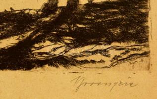 Boross Géza (1908-1971): Siófok, rézkarc, karton, jelzett, 30×37 cm