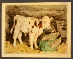 Edvi Illés Aladár (1858-1927): Boci. Színezett rézkarc, papír, jelzett, üvegezett fa keretben, (hátoldalán rézkarc) 22×28 cm