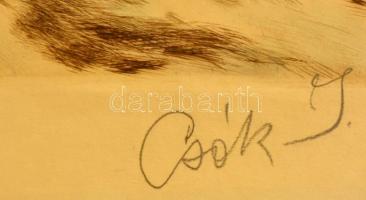 Csók István (1865-1961) - Prihoda István (1891-1956): Báthory Erzsébet. Színezett rézkarc, karton, j...