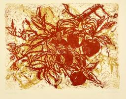 Somlai Vilma (1938-2007): Csendélet, színes linó, papír, jelzett, számozott (33/100) 29×39 cm