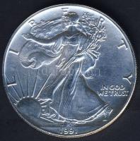 USA 1991. 1$ Ag "Sas" T:1-