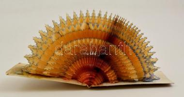 Régi képeslapból kézzel készített papírdísz