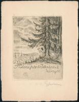 Sterbenz Károly (1901-1993): 2 db ex libris. Rézkarc, papír, jelzett, 8,5×6 cm
