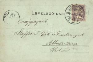 1901 Szombathely, látkép, villa. Kiadja Apfel H. C. (EK)