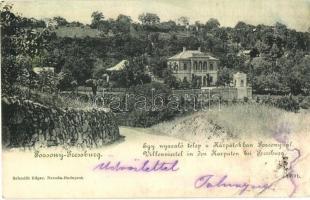 1899 Pozsony, Pressburg, Bratislava; Egy nyaralótelep a Kárpátokban / a holiday resort with villa in the Carpathian Mountains (EB)