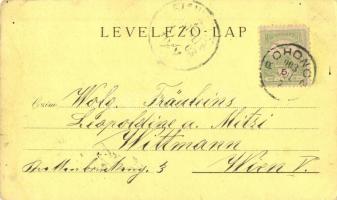 1903 Szombathely, Steinamanger; Városháza, Berzsenyi szobor, Püspöki lak és Székesegyház, Berzsenyi ...