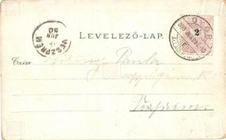 1899 Győr, Széchenyi tér, üzletek, ünnepség, tömeg. Kiadja Berecz Viktor 3588. Art Nouveau, floral, ...