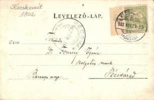 1902 Kecskemét, Osztrák-magyar K.u.K. katonák csoportképe. Art Nouveau keret. photo (EK)