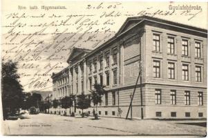1905 Gyulafehérvár, Alba Iulia; Római katolikus fő gimnázium. Kiadja Schäser Ferenc / Catholic grammar school (fa)