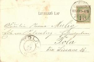 1905 Gyulafehérvár, Alba Iulia; Római katolikus fő gimnázium. Kiadja Schäser Ferenc / Catholic gramm...