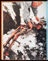 Ian Willson: A múlt híres halottai. Bp.,2001, Gold Book. Kiadói kartonált papírkötés, kiadói papír v...