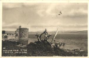 31 db modern motívumlap vegyesen: Judaika, propaganda, irredenta; közte sok fotó (nem képeslap hátol...