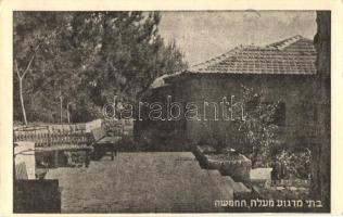 31 db modern motívumlap vegyesen: Judaika, propaganda, irredenta; közte sok fotó (nem képeslap hátol...