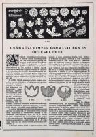 1931-1932 Muskátli 8 száma, I. évf. 1.,3.,5.-10.Szerk.: Zulawsky Elemérné. 3 számban 4 melléklettel,...