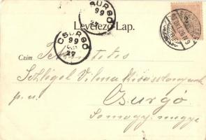 1899 Debrecen, Piac utca, Stern Izidor, Löw Zsigmond üzlete, árusok. Kiadja Hans Nachbargauer (EK)