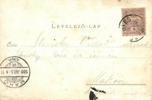 1900 Mezőhegyes, Erzsébet liget, Erzsébet királyné emlékfái, Bloch H. Arad 504. sz. Virágos litho ke...