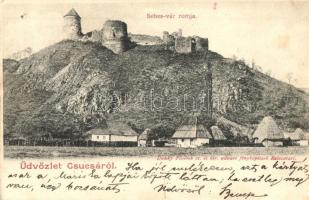 1902 Sebesvár, Bologa (Csucsa); várrom. Dunky fivérek / castle ruins