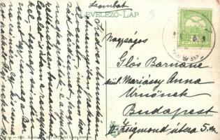 1914 Csízfürdő, Cíz Kúpele; Horváth József magánlak, Herskovits Mór kiadása / villa (kopott sarkak /...