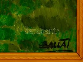 Balla József (1910-1991): Parkban. Olaj, vászon, festék hibákkal, jelzett, faragott fa keretben, 70×...