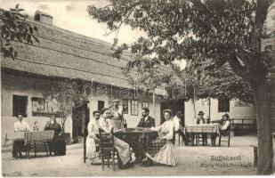 1909 Budakeszi, Mária Makk Vendéglő kerthelyisége (EK)